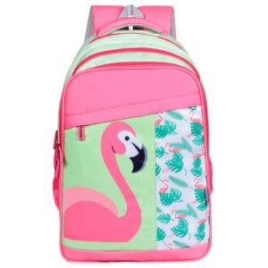 School Bags for Grade/Standard 5,6,7,8,9,10